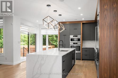 679 Broadview Avenue, Ottawa, ON - Indoor Photo Showing Kitchen With Upgraded Kitchen