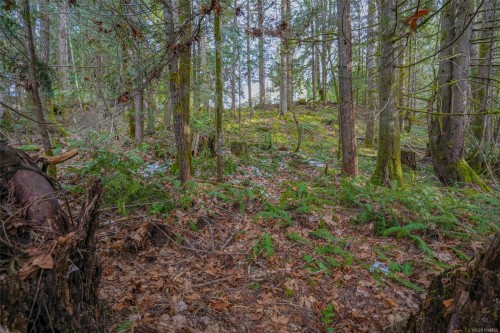 10440 Wilson Rd, Port Alberni, BC 