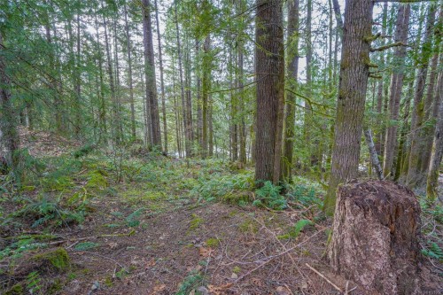 10440 Wilson Rd, Port Alberni, BC 