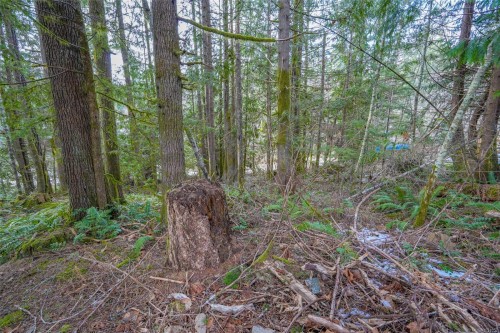 10440 Wilson Rd, Port Alberni, BC 