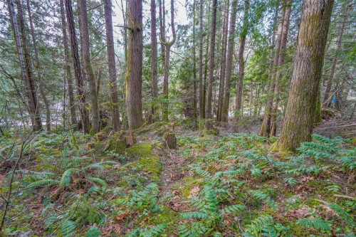 10440 Wilson Rd, Port Alberni, BC 