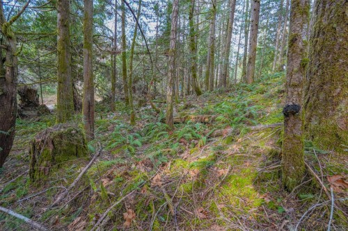 10440 Wilson Rd, Port Alberni, BC 