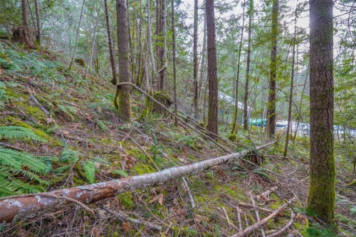 10440 Wilson Rd, Port Alberni, BC 