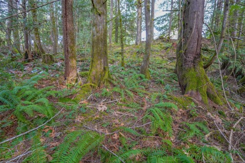 10440 Wilson Rd, Port Alberni, BC 