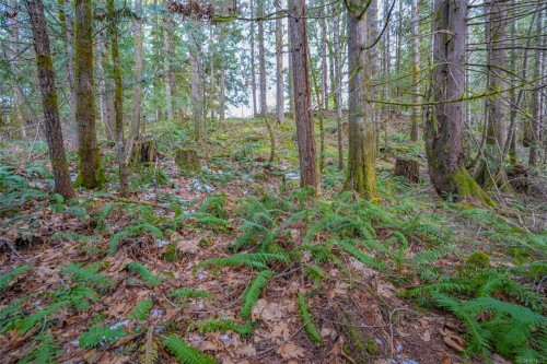 10440 Wilson Rd, Port Alberni, BC 