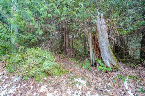 10440 Wilson Rd, Port Alberni, BC 