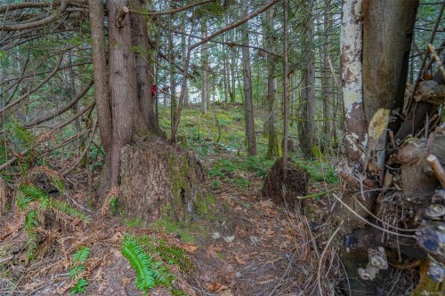 10440 Wilson Rd, Port Alberni, BC 