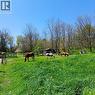 View of yard featuring a rural view - 535 Mcdowell Road E, Simcoe, ON 
