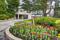 Garden - 