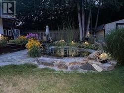 Backyard pond - 