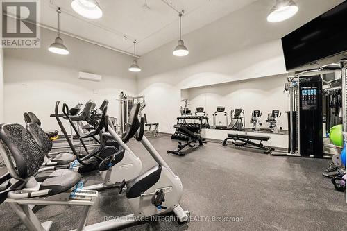 Gym - 906 - 1081 Ambleside Drive, Ottawa, ON - Indoor Photo Showing Gym Room