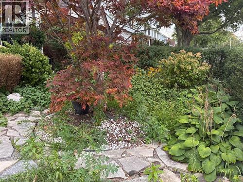 1232 Janette, Windsor, ON - Outdoor