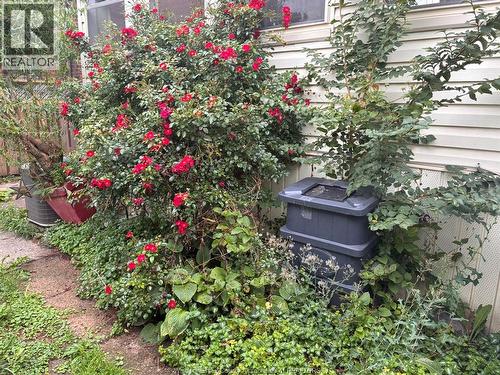 1232 Janette, Windsor, ON - Outdoor