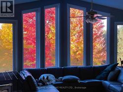 View from living room in the Fall! - 