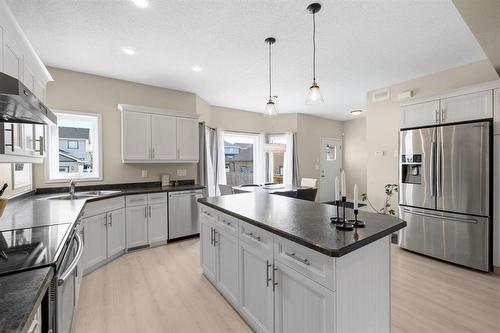 83 Brookfield Crescent, Winnipeg, MB - Indoor Photo Showing Kitchen With Stainless Steel Kitchen With Double Sink With Upgraded Kitchen