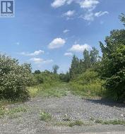 LT 7 MERKLEY ROAD E  North Dundas, ON K0C 2K0