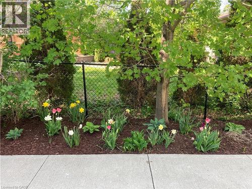 55 Aberdeen Road S, Cambridge, ON - Outdoor