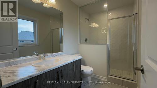 10 Molnar Crescent, Brant, ON - Indoor Photo Showing Bathroom