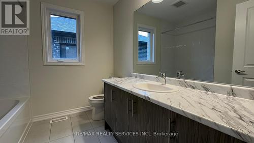 10 Molnar Crescent, Brant, ON - Indoor Photo Showing Bathroom