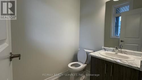 10 Molnar Crescent, Brant, ON - Indoor Photo Showing Bathroom