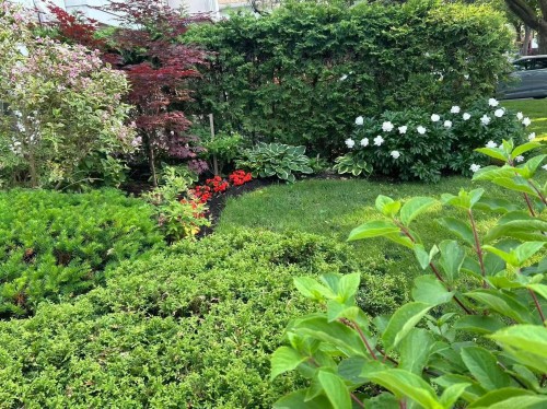 Garden - 266 Av. Glengarry, Mont-Royal, QC - Outdoor