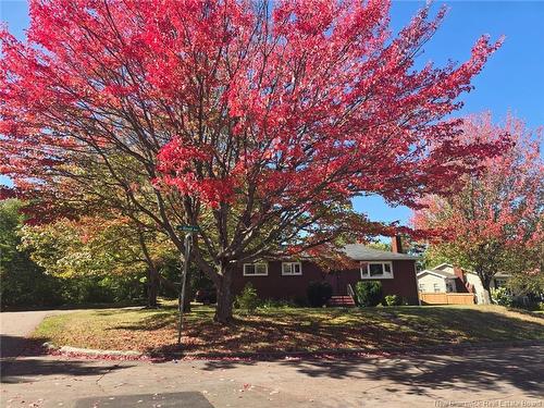 4 Boyd Ave, Moncton, NB 