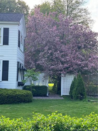 121 Winslow St, Fredericton, NB 