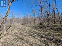 0 LITTLE CROSBY LAKE ROAD Rideau Lakes, ON K0G 1X0