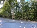 237 Rainbow Ridge Road, Procter, BC 