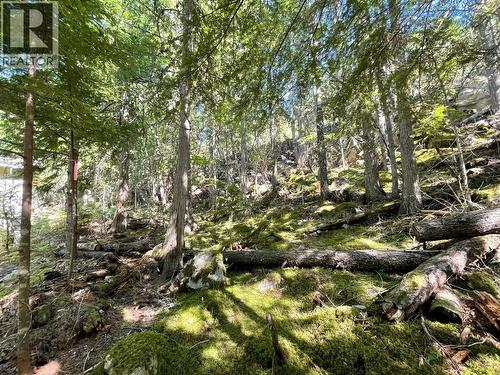 237 Rainbow Ridge Road, Procter, BC 