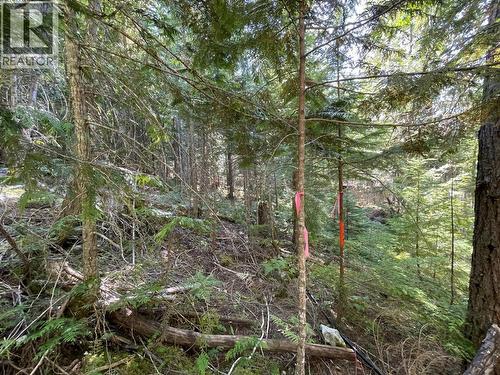 237 Rainbow Ridge Road, Procter, BC 