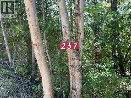 237 Rainbow Ridge Road, Procter, BC 