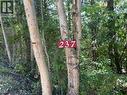 237 Rainbow Ridge Road, Procter, BC 
