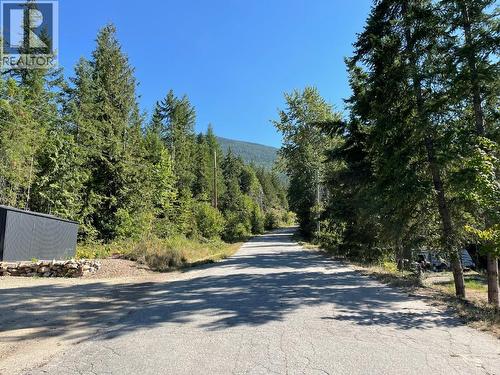 237 Rainbow Ridge Road, Procter, BC 