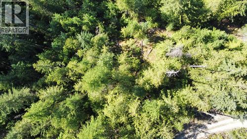 237 Rainbow Ridge Road, Procter, BC 