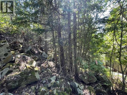237 Rainbow Ridge Road, Procter, BC 