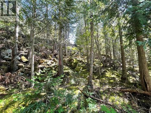 237 Rainbow Ridge Road, Procter, BC 