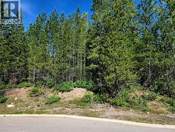 6 DEMPSEY Place Elkford, BC V0B 1H0