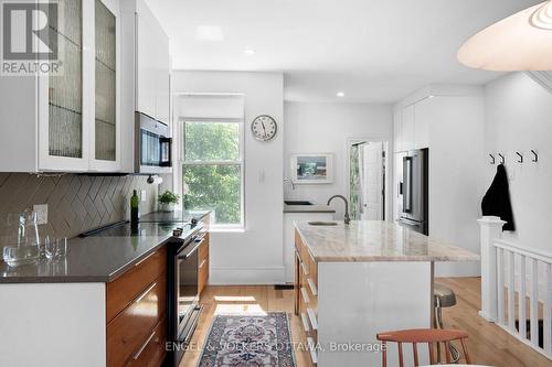 244 Flora Street, Ottawa, ON - Indoor Photo Showing Kitchen With Upgraded Kitchen