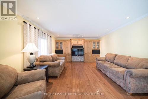 43 Flamingo Drive, Hamilton, ON - Indoor Photo Showing Living Room
