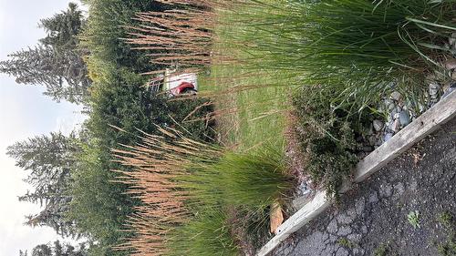 1105 10Th Street, Cranbrook, BC - Outdoor With View