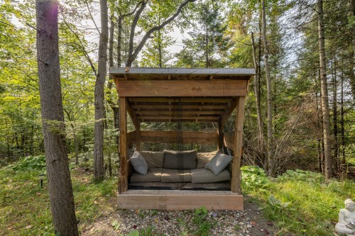 Cour - 35 Ch. Du Lac-Barron, Gore, QC -  Photo Showing Living Room With Fireplace