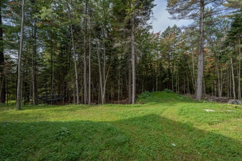 Cour - 35 Ch. Du Lac-Barron, Gore, QC - Outdoor With View