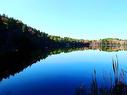 95 Natural Forest Lake Road, Upper Cornwall, NS 