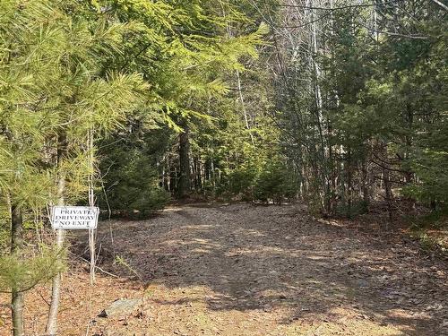 95 Natural Forest Lake Road, Upper Cornwall, NS 
