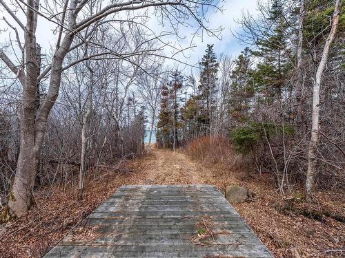 Shore Road, Litchfield, NS 