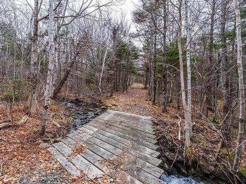 Shore Road, Litchfield, NS 