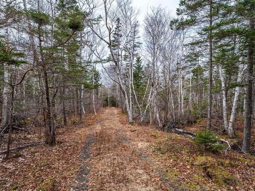 Shore Road, Litchfield, NS 