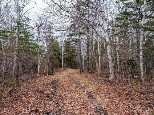 Shore Road, Litchfield, NS 