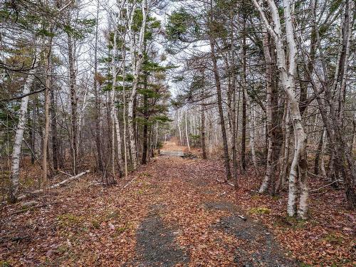 Shore Road, Litchfield, NS 